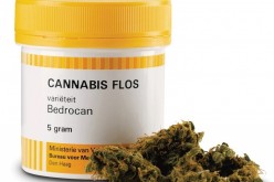 Cannabis in farmacia, tutto ciò che c’è da sapere