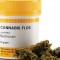 Cannabis in farmacia, tutto ciò che c’è da sapere